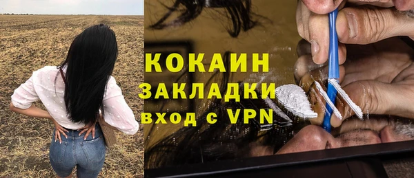 твердый Лабытнанги