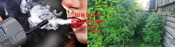 прущие крисы Кукмор