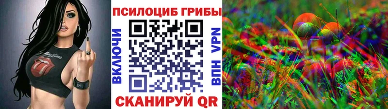 где можно купить   Называевск  Галлюциногенные грибы прущие грибы 